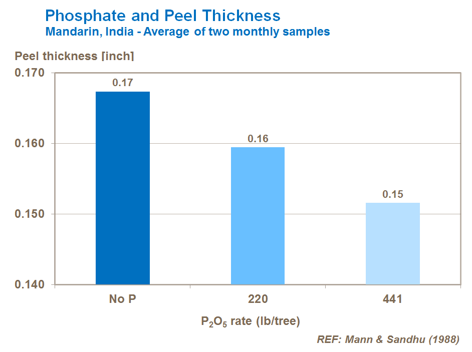 phosphorus and citrus peel thickness