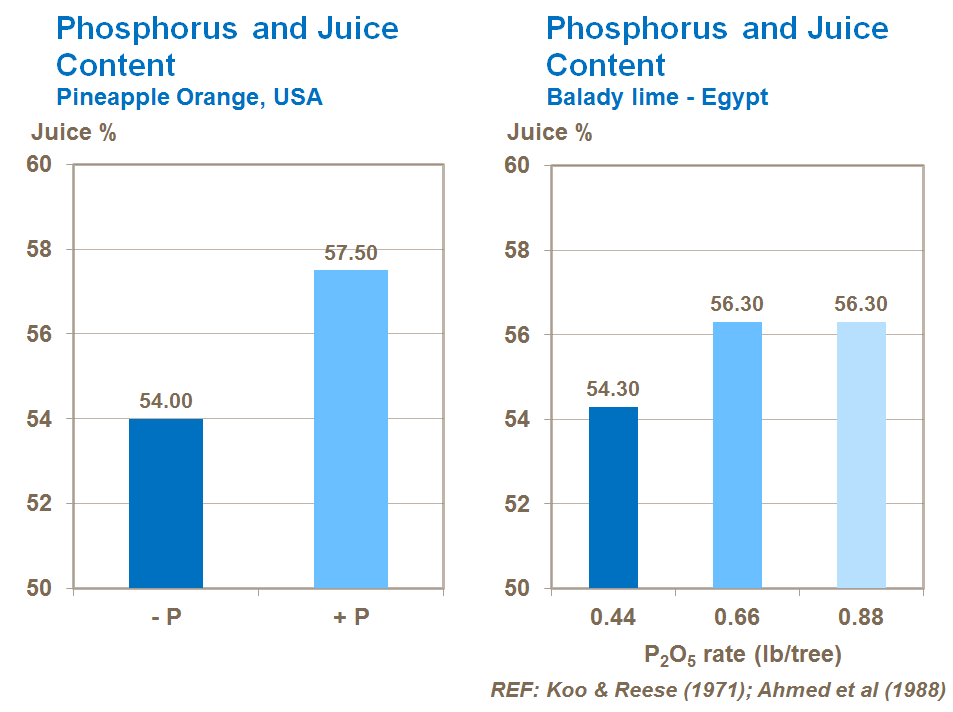 phosphorus and citrus juice content