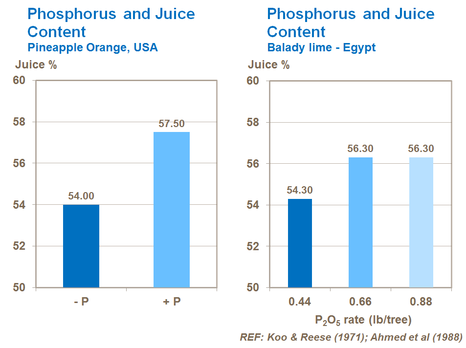인산과 과즙함량 phosphorus and citrus juice content