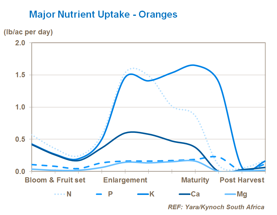 다량영양소 흡수 major nutrient uptake in citrus