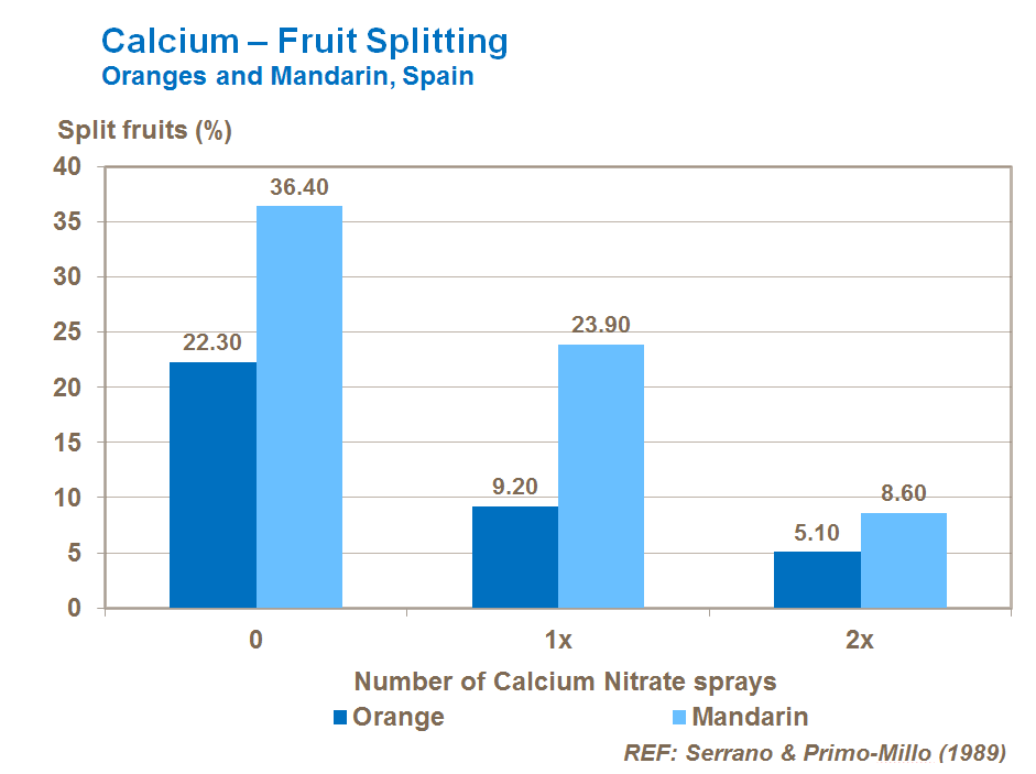 calcium and citrus fruit splitting