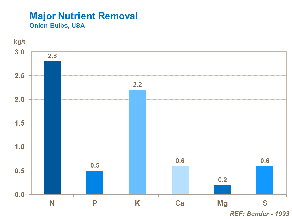 다양영양소 흡수 major nutrient removal in onion bulbs