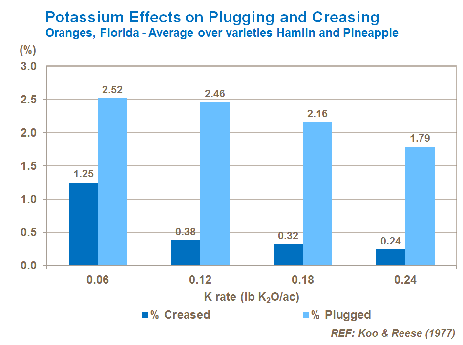 potassium effects on citrus plugging and creasing