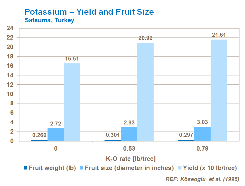 칼륨과 크기 potassium on citrus yield and fruit size