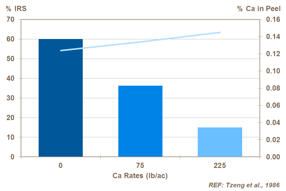 Ca and IRS in potatoes