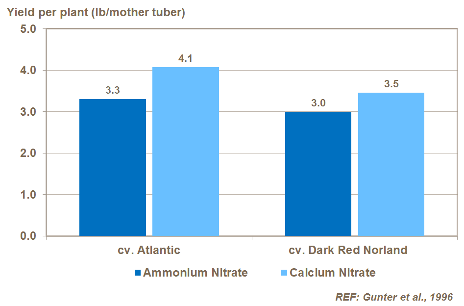 Ca and potato yield