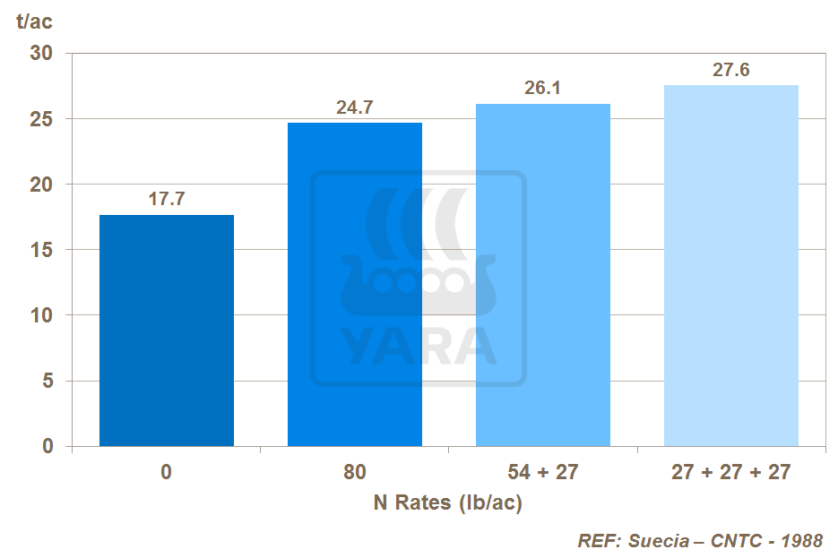 split N and potato yield