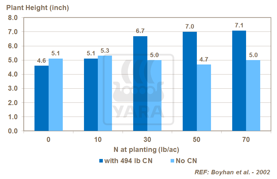 calcium and onion plant height