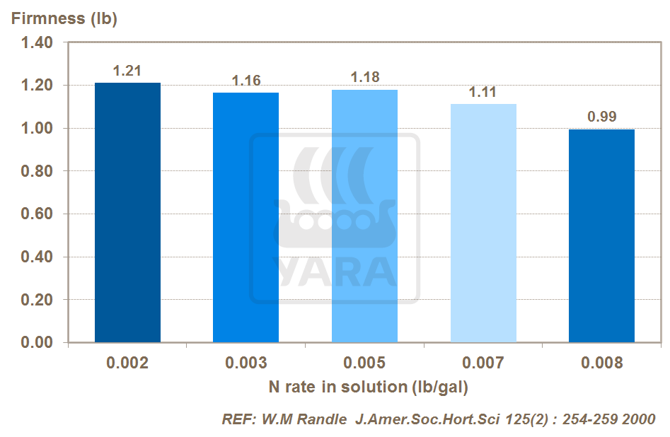 nitrogen and onion bulb fimness