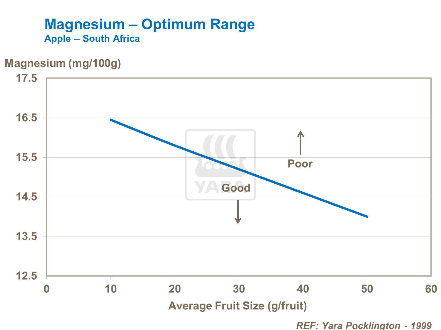마그네슘과 크기