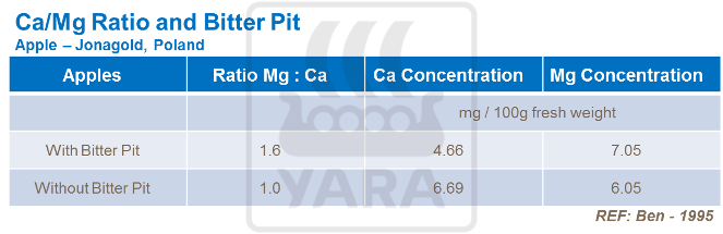 마그네슘비와 고두병