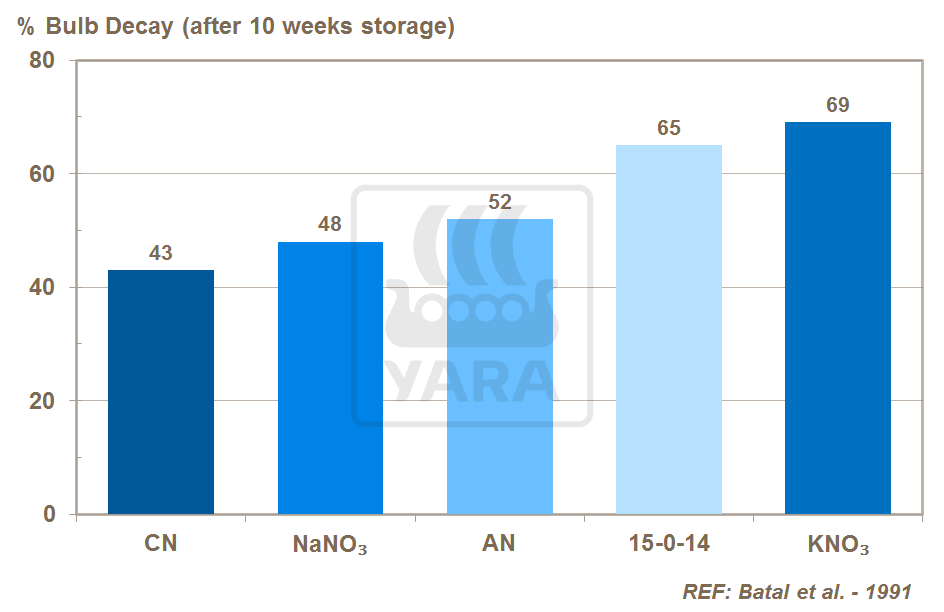 calcium nitrate and onion bulb rot
