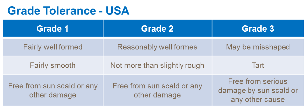 tomato fresh market grade tolerances