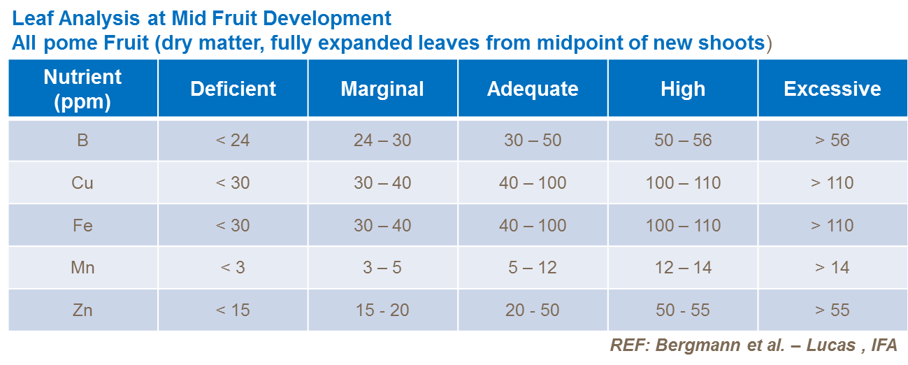 미량영양소 잎분석
