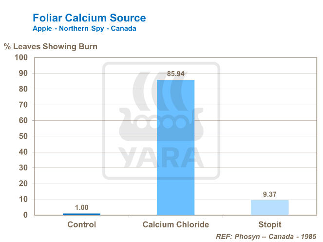 엽상 칼슘 출처