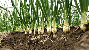 토양및 수분관리1