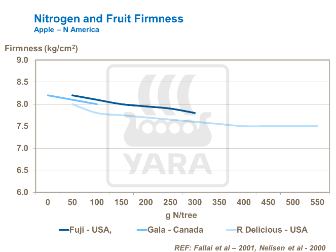 Nitrogen and Fruit Firmness