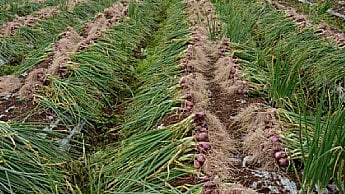 토양및 수분관리2