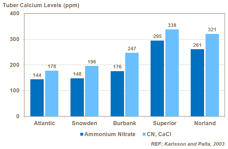 Ca uptake by potato variety