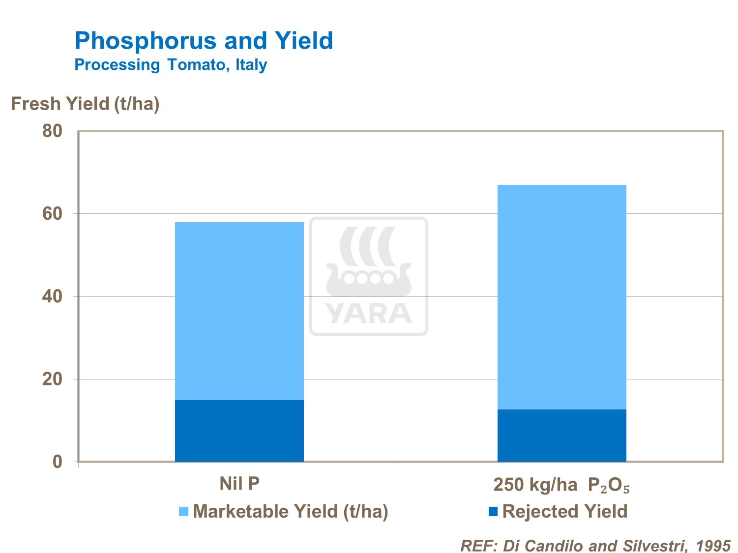 phosphorus and yield on tomatoes