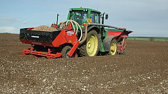 potato planting growth stage