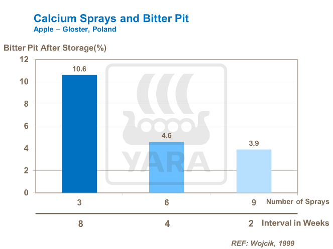 칼슘 살포와 고두병
