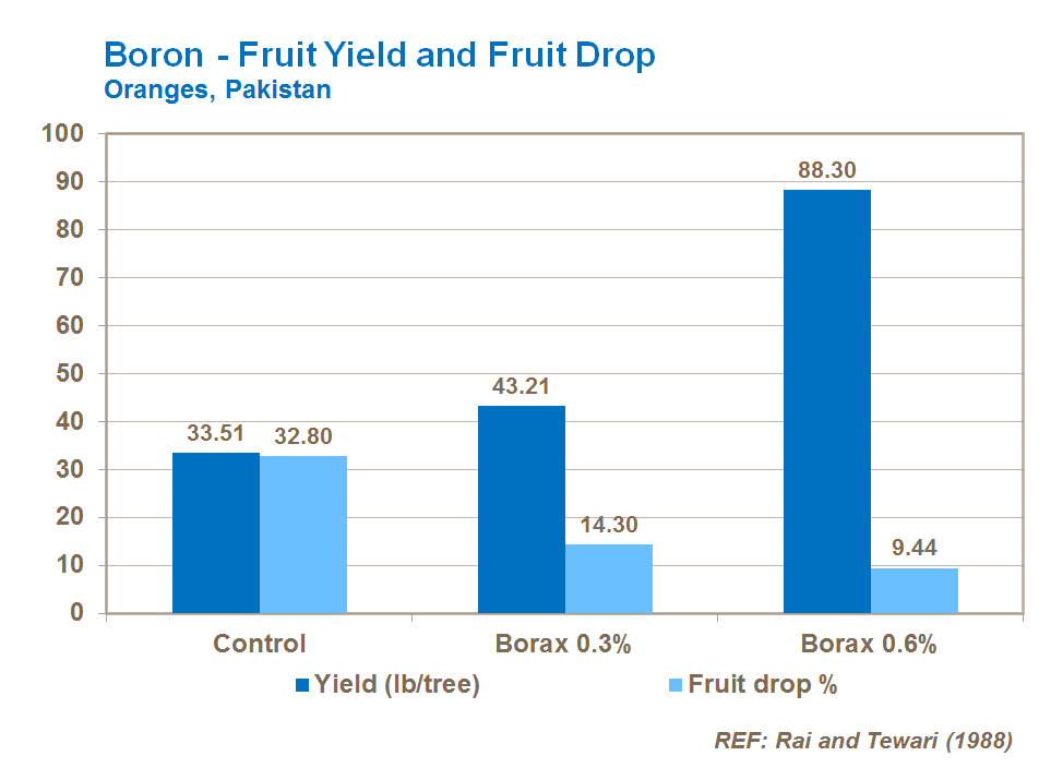 boron effect on citrus fruit yield and fruit drop