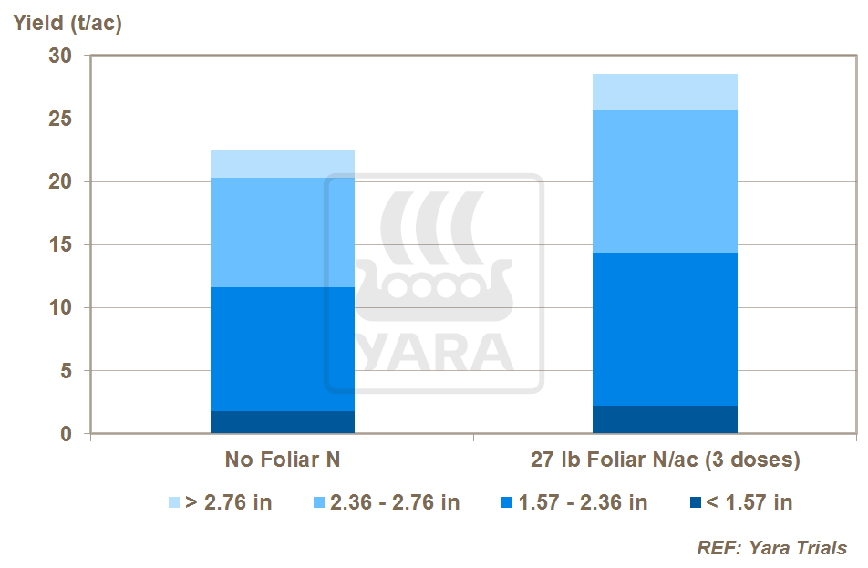 foliar N and potato yield