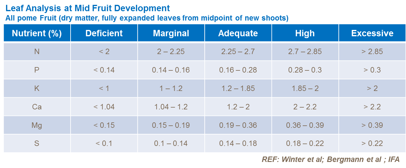 다량영양소 잎분석