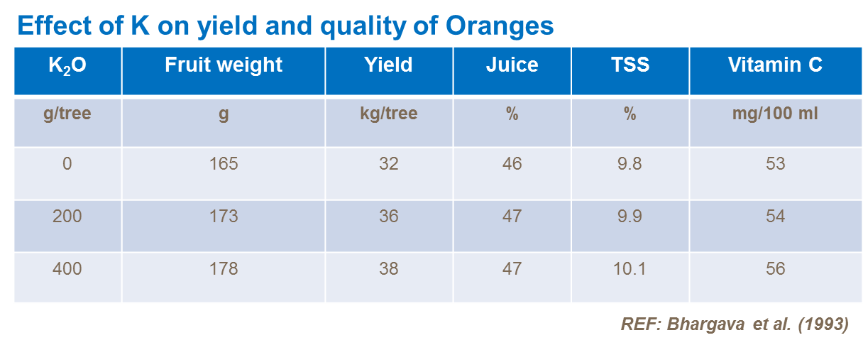 effect of potassium on orange yield