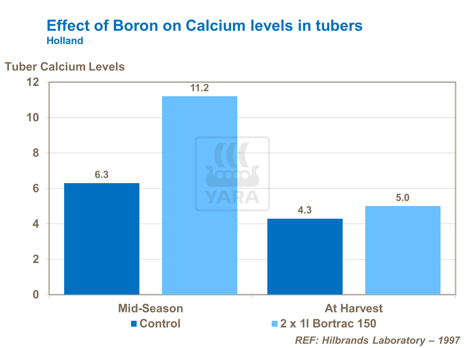 Effect of Boron on Calcium levels in tubers