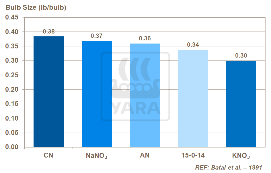 calcium nitrate and onion bulb size